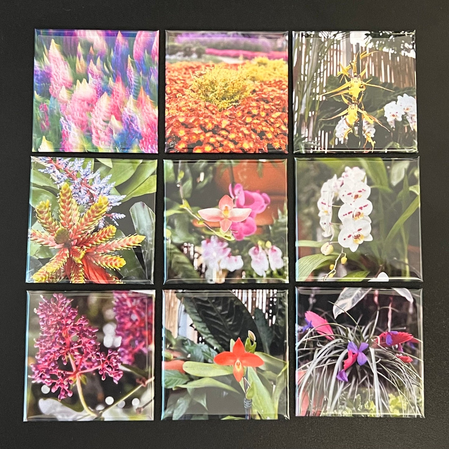 Nine square tiles with various floral and nature-themed designs on a black background.